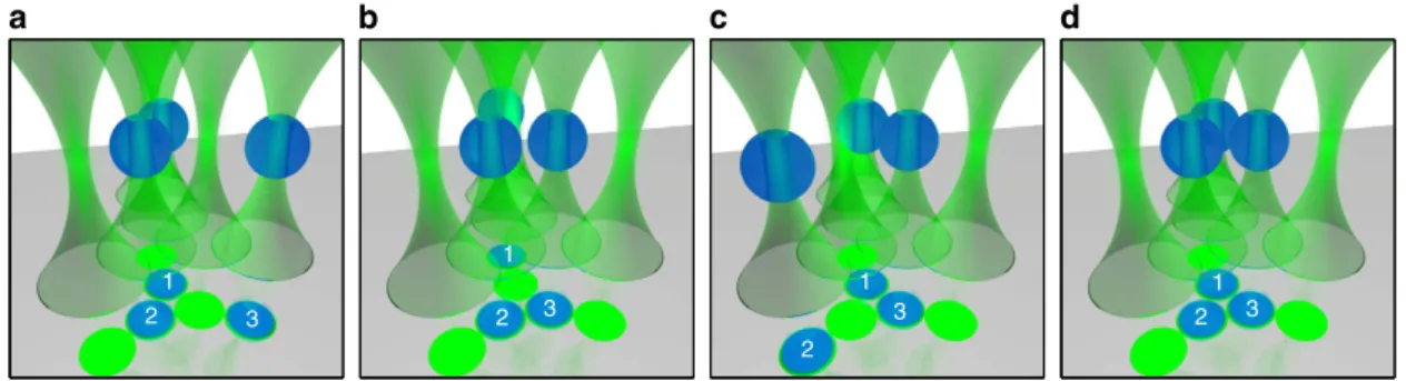 Figure 2 | Experimental conﬁgurations. Cartoon of the geometrical arrangement of the six optical tweezers (green conoids) and the colloids (blue spheres) during the experiment