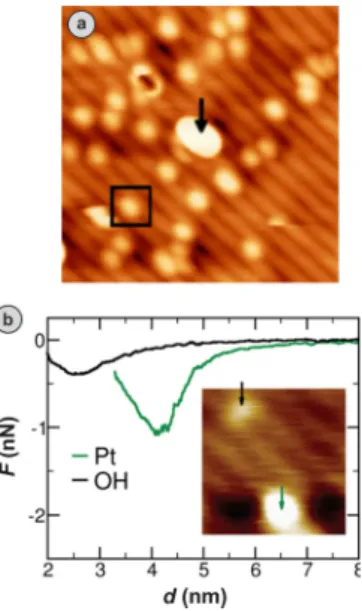 Figure 7. (a) NC-AFM image of rutile TiO 2 (110) with adsorbates including OH groups (black square) and Pt atoms (black arrow)