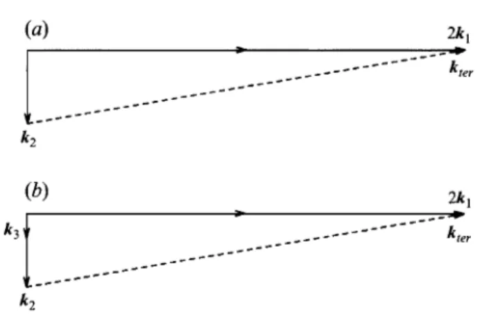 FIGURE  1.  (a)  Wave configuration  for the special triad.  (b) Wave configuration  for the special  triad  in the presence of an underlying long wave