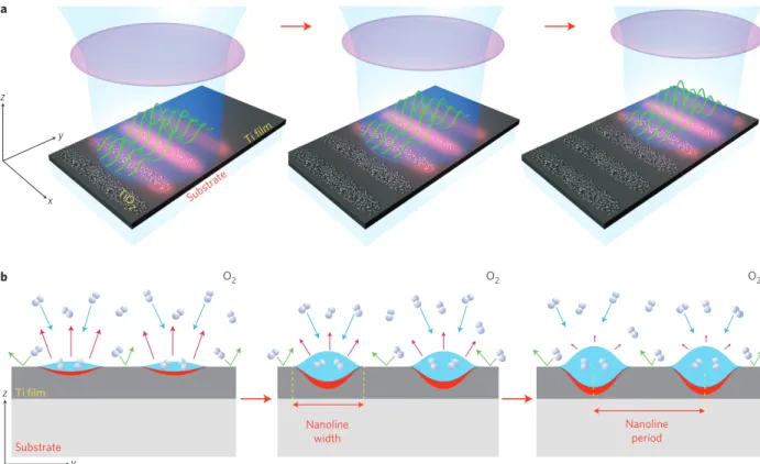 Figure 1 | Conceptual model. a, Schematic of the nanostructure formation process as a laser beam is scanned over the surface