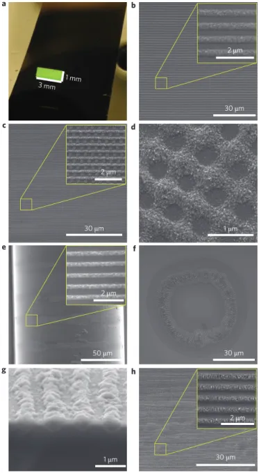 Figure 4 | Examples of fabricated nanostructures. a, Photograph of nanostructures covering an area of 1 mm × 3 mm (colouration is due to diffraction of room light)
