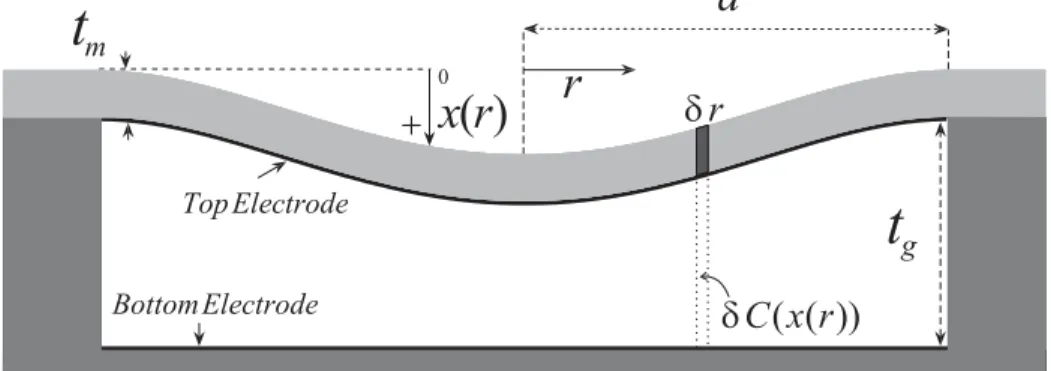 Figure 3.1: CMUT Geometry.