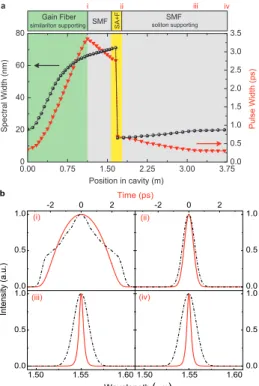 Fig. 2 (a) Conceptual model of the laser is shown with snapshot points indicated: (i) end of the gain fiber,  (ii)  after  the  filter,  (iii)  inside  the  SMF,  (iv)  entrance  of  the  gain  fiber