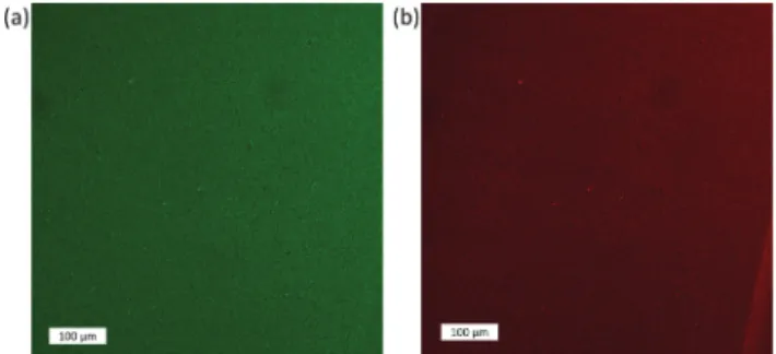Fig. 3 Confocal images of the mixed solid ﬁlms with 4 and 5 ML NPLs.