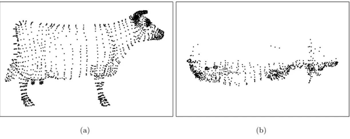 Figure 3. Image-like representation of the mesh; (a) projected on XY plane; (b) projected on XZ plane.