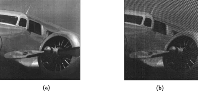 Fig. 4. ~a! Original image. ~b! Noisy image with a value of SNR 5 1.