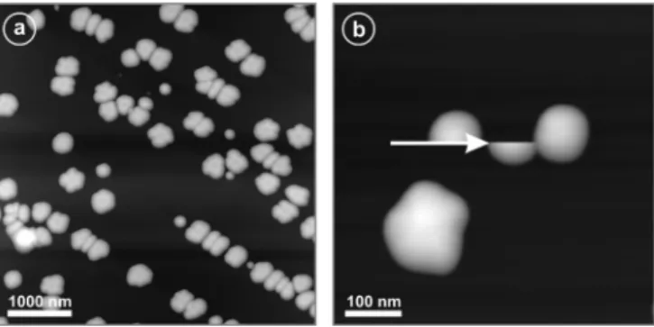 FIG. 1. (a) AFM image of a typical sample system consisting of antimony nanoparticles on a graphite substrate