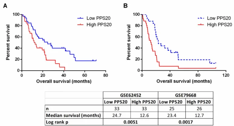 Fig 2. Prognostic stratification by PPS20 in validation cohorts. Kaplan Meier graphs based on PPS20 for GSE62452 (A), GSE79668 (B)