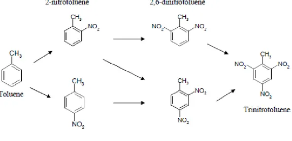 Figure 6. Formation of TNT from toluene (69). 