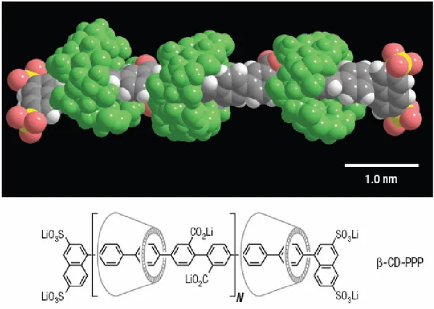 Figure 2.2. Energy-minimized 3D structure of cyclodextrin-threaded polyrotaxane with  poly(para-phenylene) (β-CD-PPP) and its chemical structure[38]