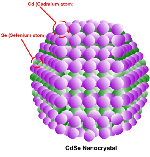 Figure 3.1. Wurtzite crystal structure of a CdSe quantum dot, where purple spheres  indicate cadmium atoms and green ones selenium atoms