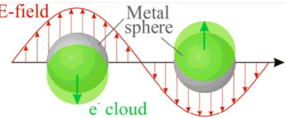 Figure 4.1.1. Schematic representation of electric field which is created by an incident  wave and corresponding shift of electron cloud resulting in a plasmon resonance of the  particle [82]