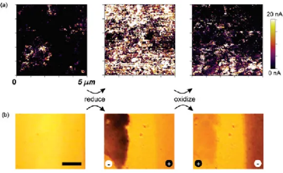 Figure 2.4: Figure 2.4: (a) Tunneling current images showing the effect of re- re-versible electrical oxidation and reduction in three consecutive voltage cycles (+2 V, -2 V, +2 V for tens of seconds)