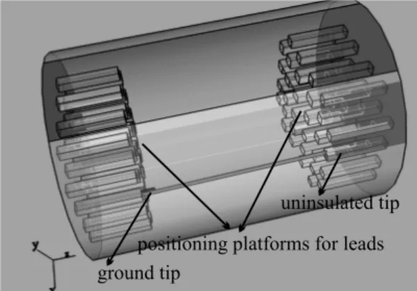 Figure 2.3: A cylindrical plexiglass phantom with a diameter of 30cm and a length of 50cm and the positioning of the lead.