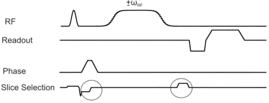 Figure 3.2: Pulse sequence used in the experiments. Crusher gradients (encircled by lines) are used to reduce out of slice effects.