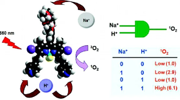 Figure 7:  A proof of principle of p hotodynamic therapy reagent for cancer  treatment