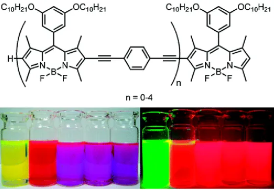 Figure 18: Through-bond energy transfer oligomers ad their colors under  ambient light (left) and under UV irradiation (right)
