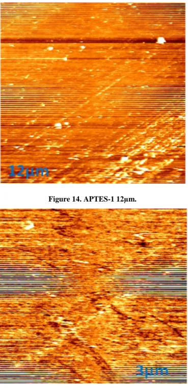 Figure 14. APTES-1 12µm. 