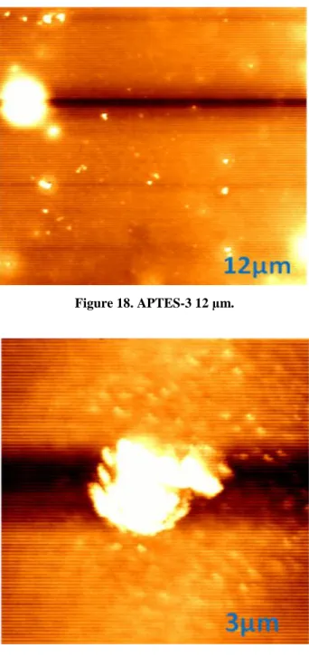 Figure 18. APTES-3 12 µm. 