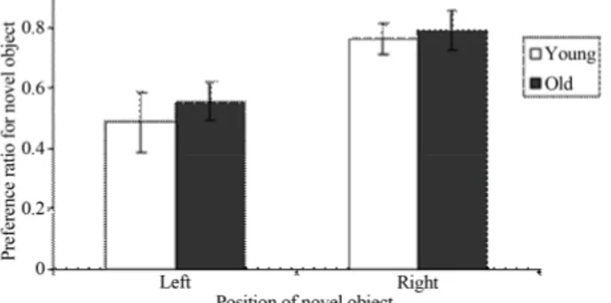 Figure 4. Young and aged rats show a side preference for ex-  ploring novel objects. The mean novel object preference ratio  for young and old rats across the left and right position of novel  object during the testing phase when one familiar object and  o