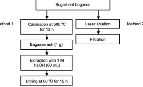 Fig. 1. Flow diagram of the procedure used to produce silica nanoparticles from sugarbeet bagasse.