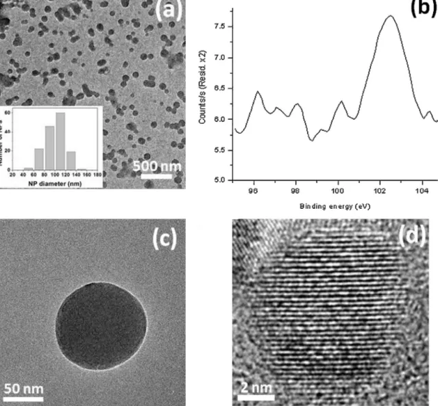 Fig. 4. (a) TEM image of silica NPs, inset: size distribution, (b) XPS analysis recorded from silica NPs, (c) amorphous structure of silica NPs, and (d) nanocrystal (NC) structure of silica NPs.