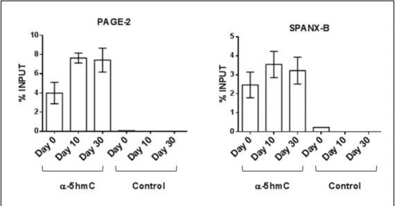 Figure 3.1.3 2: The amount hydroxymethylated DNA increases in the promoter  proximal regions of PAGE-2 and SPANX-B genes during Caco-2 spontaneous  differentiation