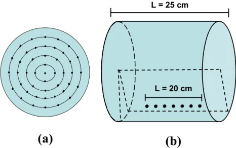 Figure 3.2 To ensure homogeneous excitation, the coil transmit sensitivity was  constrained  to  unity  at  45  sample  points,  forming  a  circular  region  with  a  diameter  of  15  cm  on  the  transverse  plane  (Panel  a )