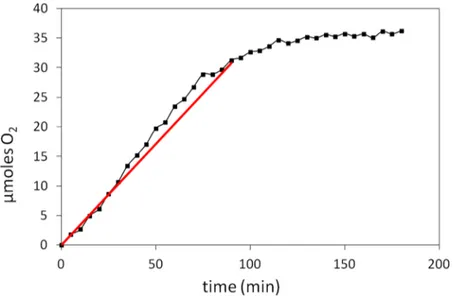 Figure 6. SEM image of the [CoFe(CN) 5 -PVP@FTO] electrode.