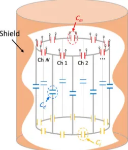 Figure 2.1: An N-channel shielded degenerate birdcage coil. Tuning (C t ), decoupling (C d ), and matching (C m ) capacitors are shown as three independent capacitors in the design procedure.