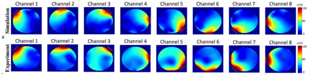 Figure 2.8: (a) Simulation (b) and MRI experiment results for B + 1 -map of each chan- chan-nel.