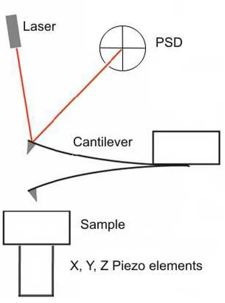 Figure 2.1: AFM apparatus principle. Cantilever movement on a substrate under controlled constant force or other parameters