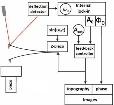 Figure 2.2: AFM working principle described for dynamic mode with closed loop for keeping amplitude constant while imaging