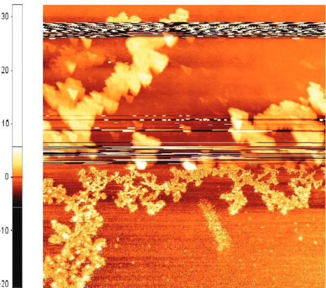 Figure 2.4: Nanoparticle capturing of the blunt tip and sudden improvement in imaging quality 2