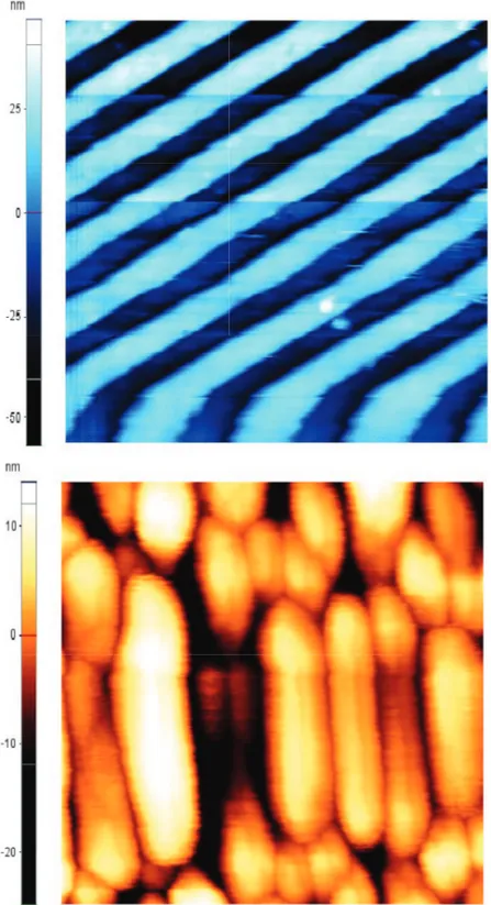 Figure 2.5: Visualization of the elongation of the features on the images of silver nanoparticles and DVD gratings caused by the thermally induced piezocreep