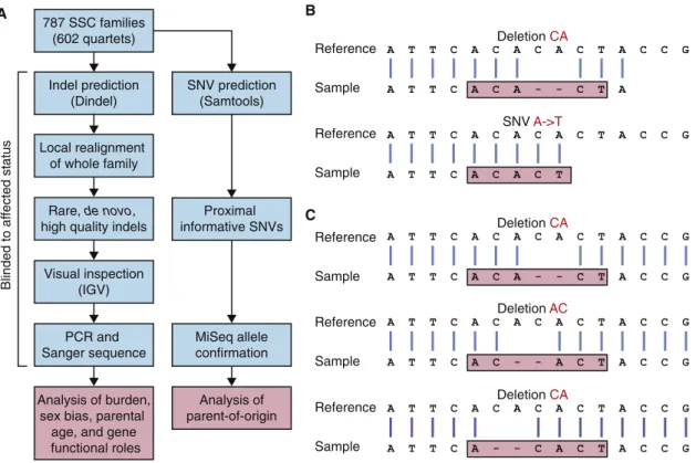 Figure 1. Experimental Overview