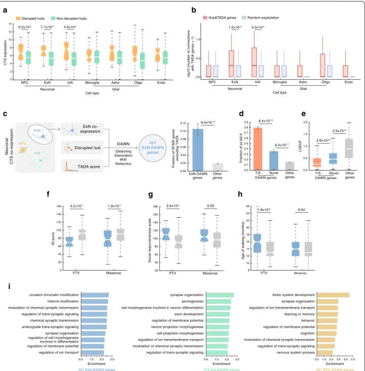 Fig. 4  Integrating hub, CTS, and genetic information to implicate new genes in ASD risk