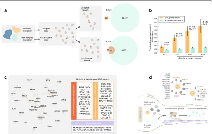 Fig. 3  A disrupted ASD network identifies novel ASD-associated proteins and protein interactions