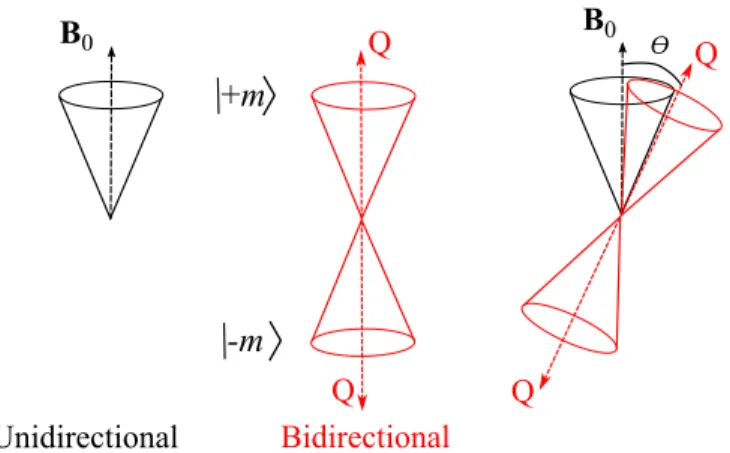 FIG. 12. (Color online) The isotope-resolved and total nuclear spin polarizations along the static magnetic field for the alloy In 0.2 Ga 0.8 As QD