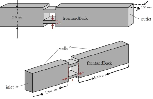 Figure 3.17: Geometry and boundary conditions of double throttle channel ge-