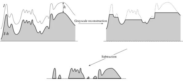 Figure 3.4: Flowchart of the Gray-scale Reconstruction. Top-left image: I is the mask image (DSM), I-h corresponds to J, which is the marker image, Top-right image: reconstructed image (DTM), bottom image: difference between the DSM and DTM (NDSM)