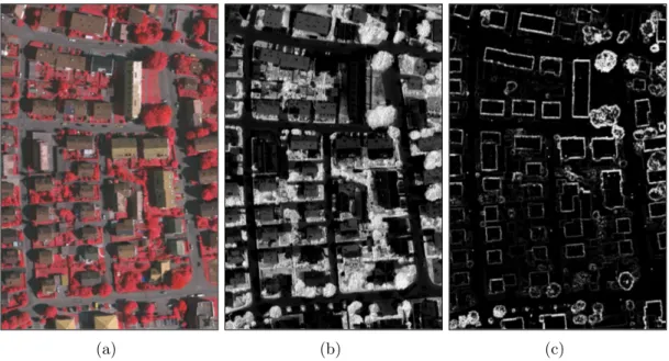 Figure 3.9: An example infrared ortho photo image and its corresponding feature intensity maps