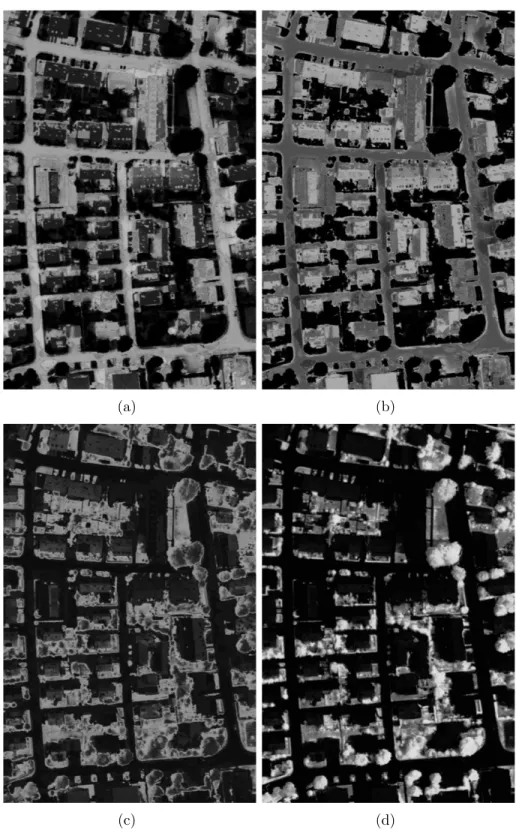 Figure 3.15: Posterior probability map of each class for the ndvi feature. (a) road, (b) building, (c) grass and (d) tree.