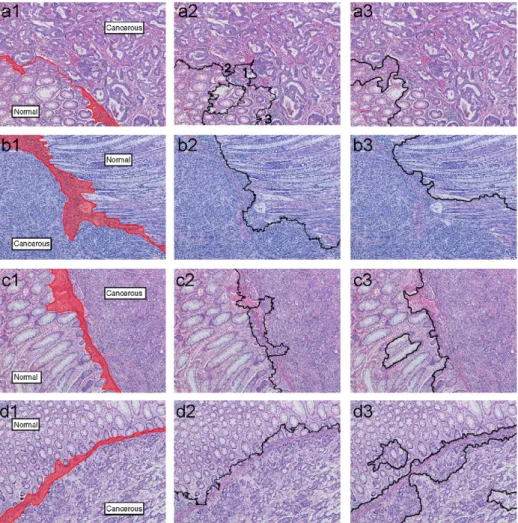 Fig. 5. The segmentation results. (a1)–(d1) The manual segmentations; (a2)–(d2) the results obtained by our object-based algorithm; (a3)–(d3) the results obtained by the JSEG algorithm.