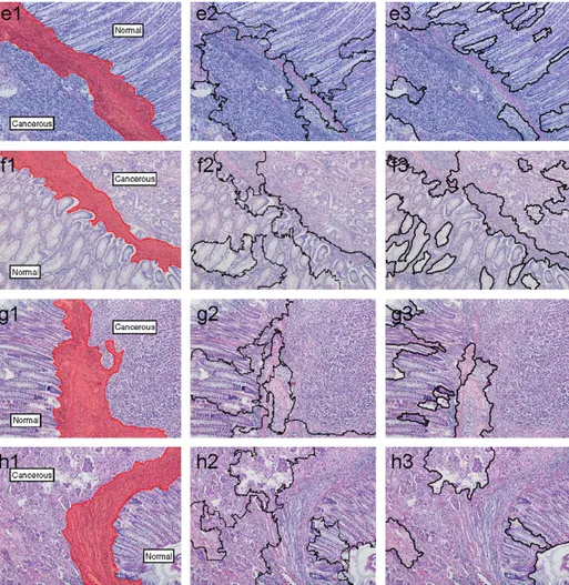 Fig. 6. The segmentation results. (e1)–(h1) The manual segmentations; (e2)–(h2) the results obtained by our object-based algorithm; (e3)–(h3) the results obtained by the JSEG algorithm.