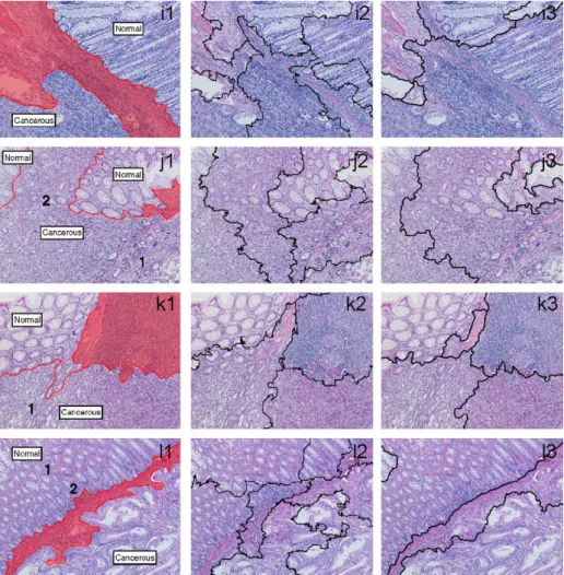 Fig. 7. The segmentation results. (i1)–(l1) The manual segmentations; (i2)–(l2) the results obtained by our object-based algorithm; (i3)–(l3) the results obtained by the JSEG algorithm.