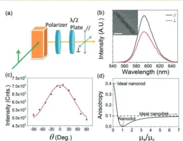 Fig. 1 Fluorescence anisotropy measurement of a diluted CdSe/CdS DRs solution. (a) Measurement con ﬁguration for ﬂuorescence  aniso-tropy