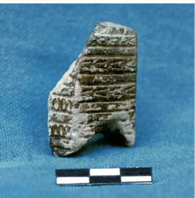 Figure 24. A Stone Plaque from Aşıklı (Esin, U., Harmankaya, S. 2007). 