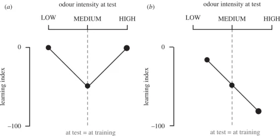 Figure 2. Experimental strategy to probe for intensity learning. We trained flies using a designated MEDIUM intensity of an odour