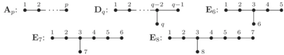 Figure 1. The standard bases in the Dynkin diagrams.